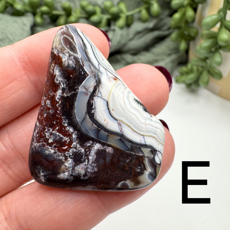 Crazy Lace Agate Tumble