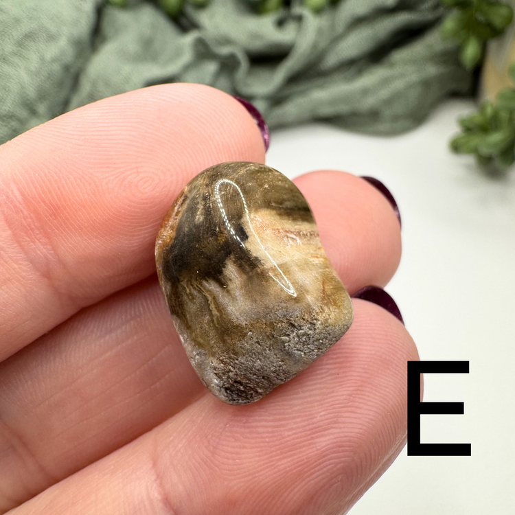 Petrified Wood Tumble