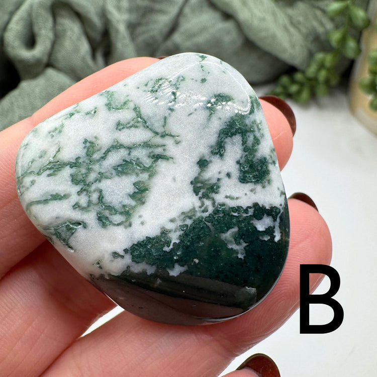 Tree Agate Tumble