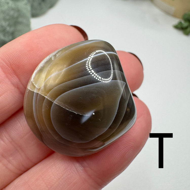 Botswana Agate Tumble