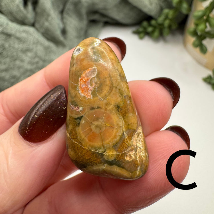 Rainforest Jasper Tumble – Moonrise Rocks