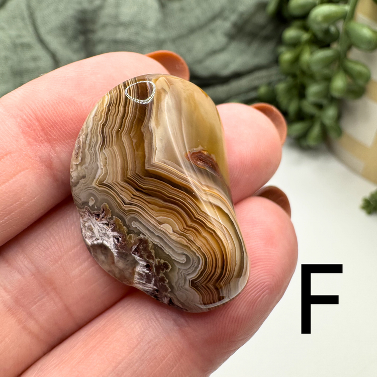 Crazy Lace Agate Tumble - Sus Stew Batch