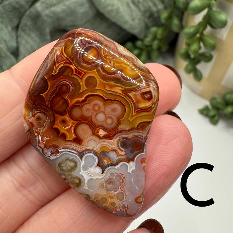 Mexican Lace Agate Tumble