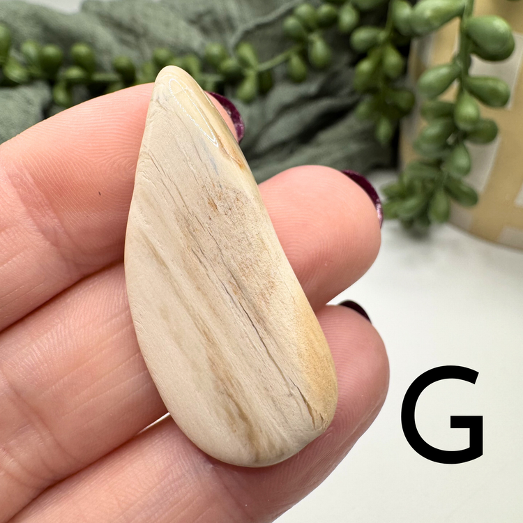 Petrified Wood Tumble