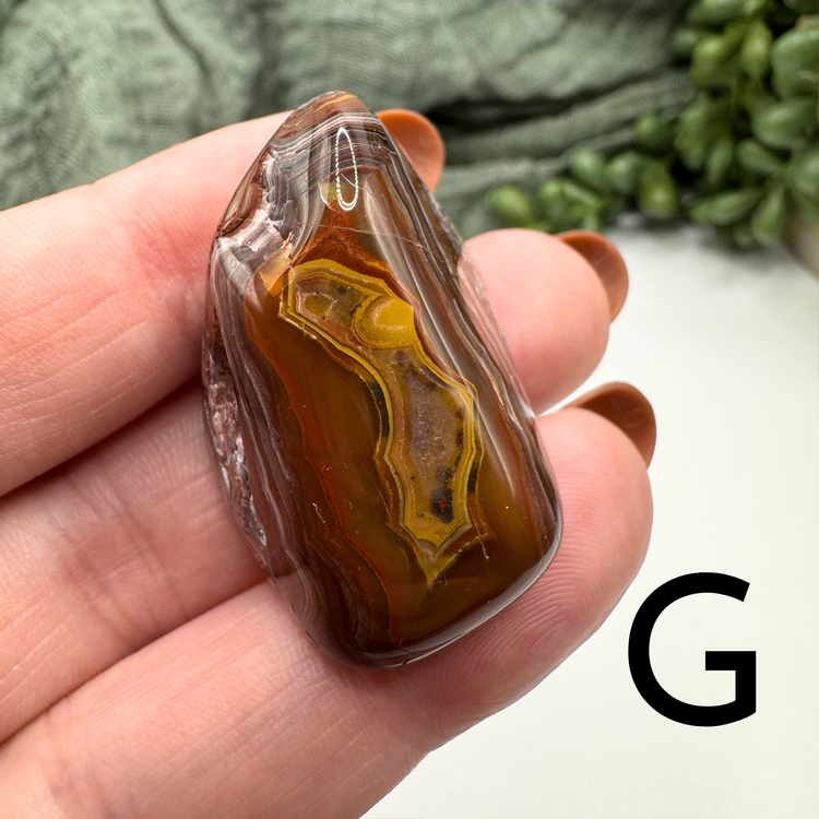 Crazy Lace Agate Tumble - Sus Stew Batch