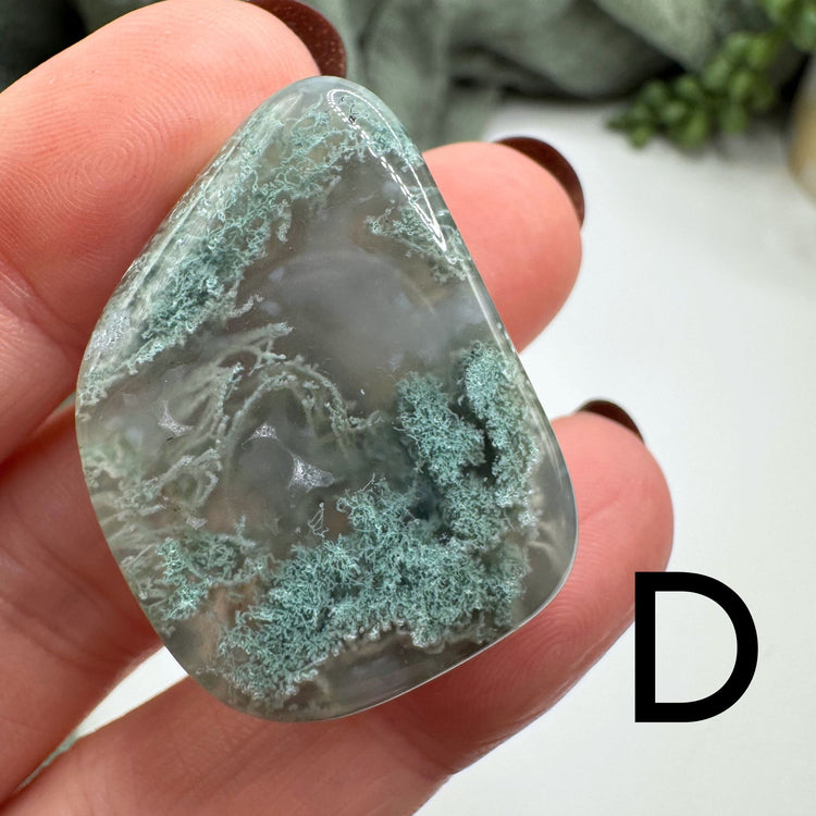 Tree Agate Tumble