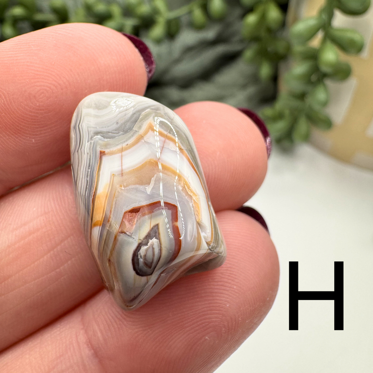 Crazy Lace Agate Tumble