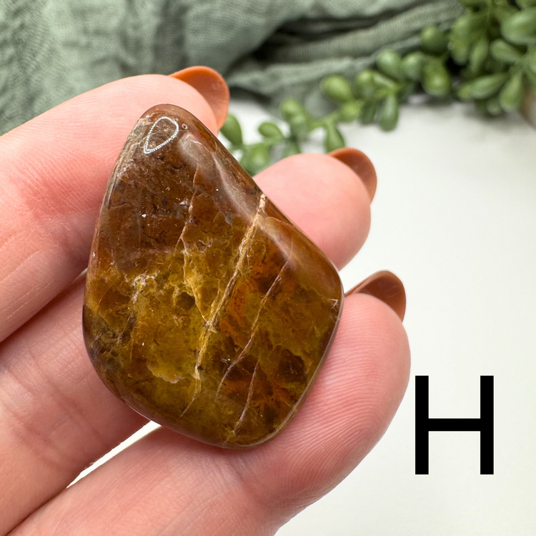 Crazy Lace Agate Tumble - Sus Stew Batch