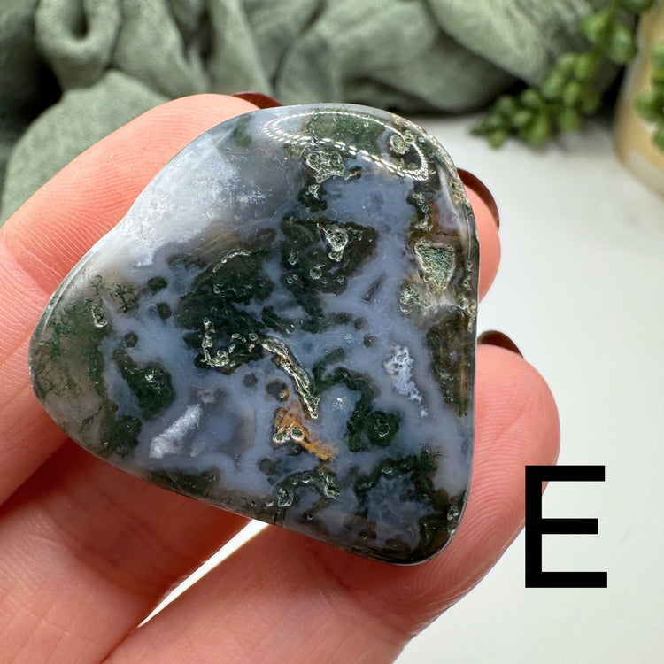 Tree Agate Tumble